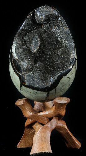 Septarian Dragon Egg Geode - Black Crystals #55711